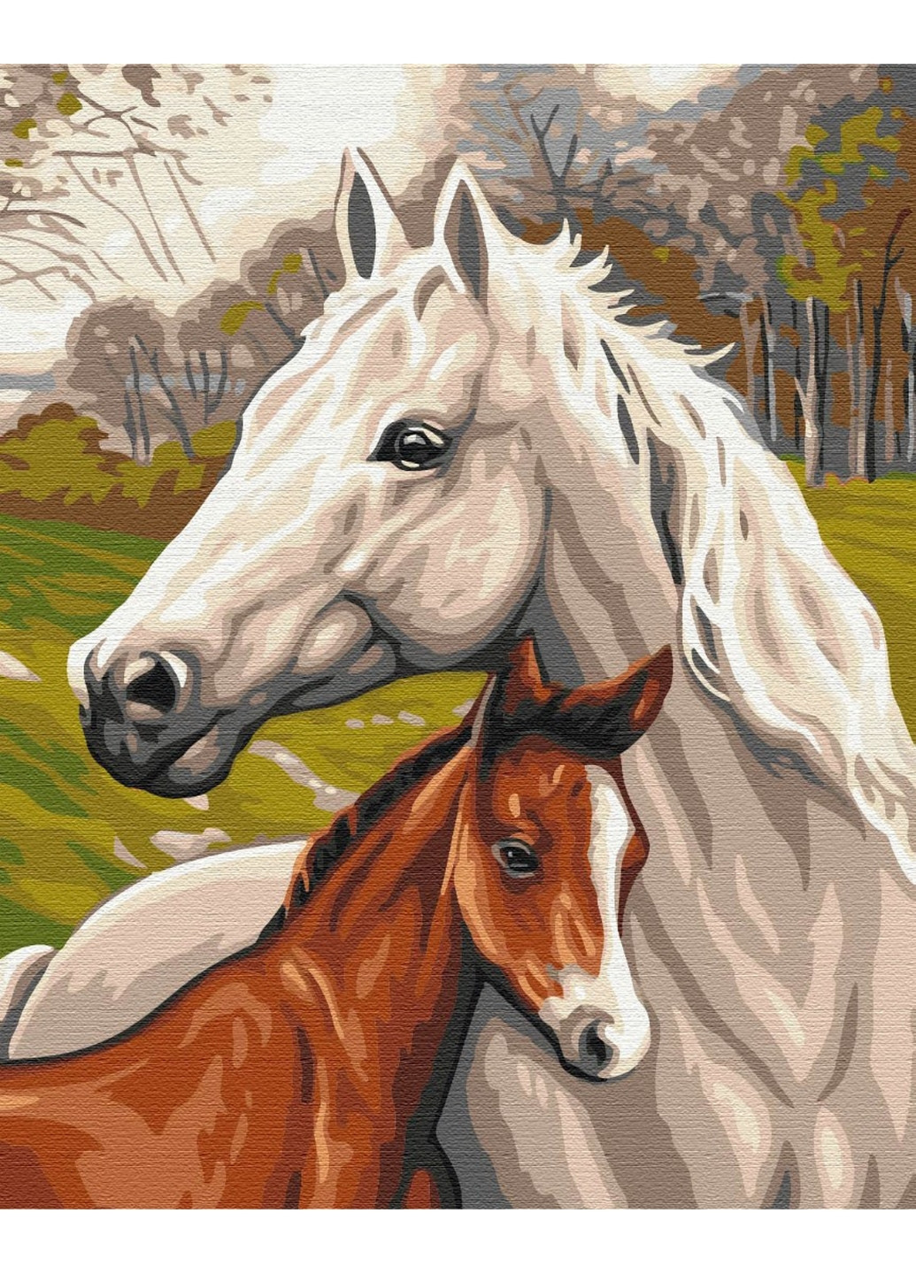 Картина по номерам Лошадиная семья 40x50 см Brushme (277152020)