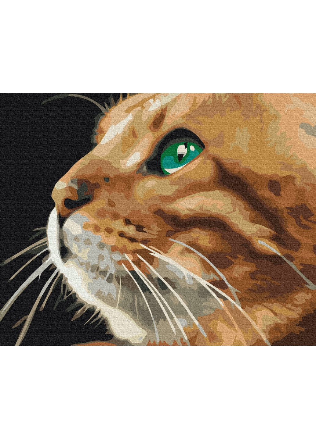 Картина по номерам Взгляд рыжули 40x50 см Brushme (277152672)