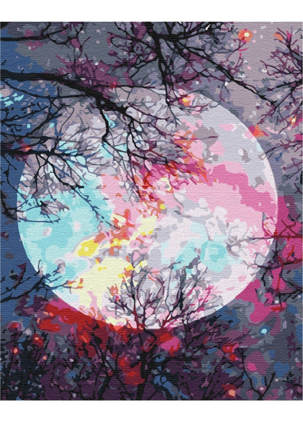 Картина за номерами "З видом на місяць" 40x50 см Brushme (277152450)