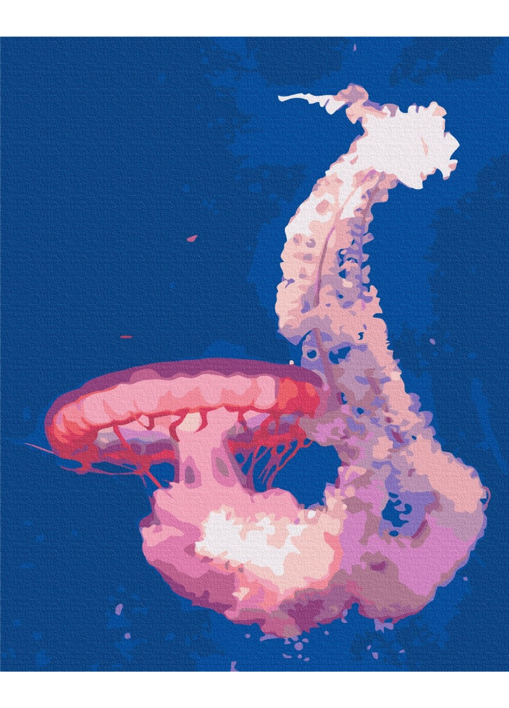 Картина по номерам Медуза в полете 40x50 см Brushme (277152483)