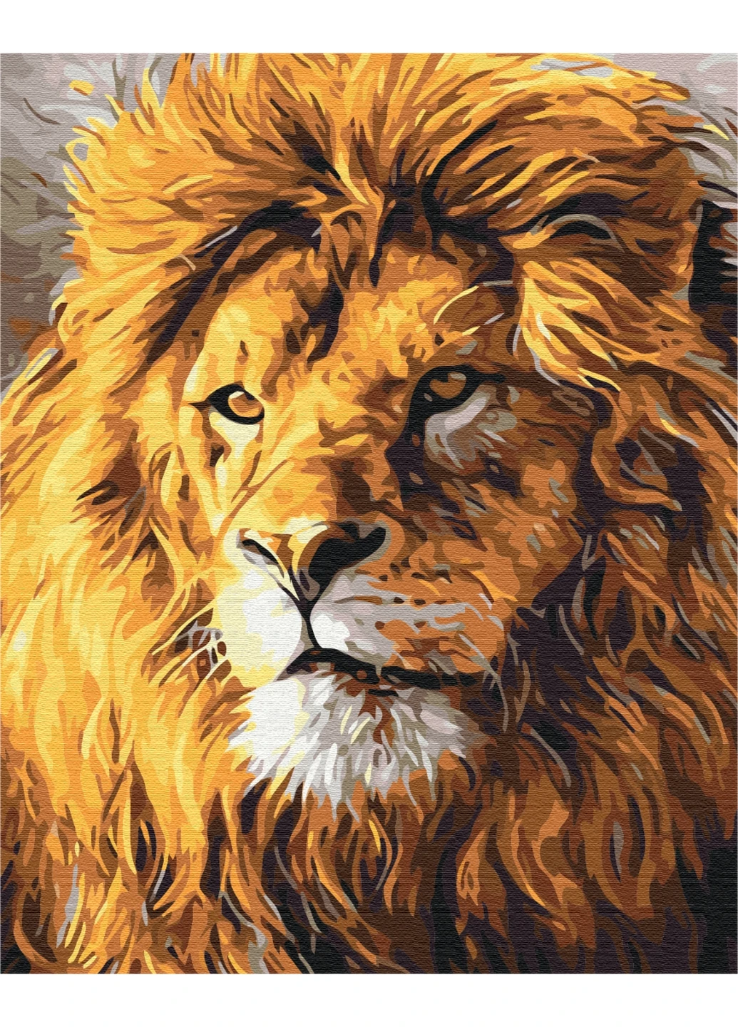 Картина за номерами "Погляд на прайд" 40x50 см Brushme (277152581)