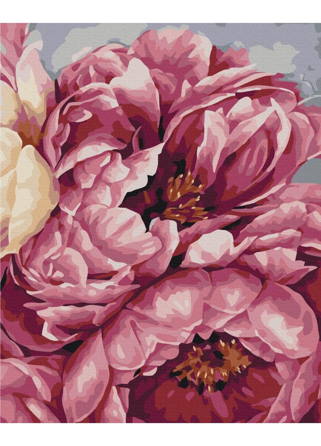 Картина за номерами "Цвітіння півонії" 40x50 см Brushme (277154377)