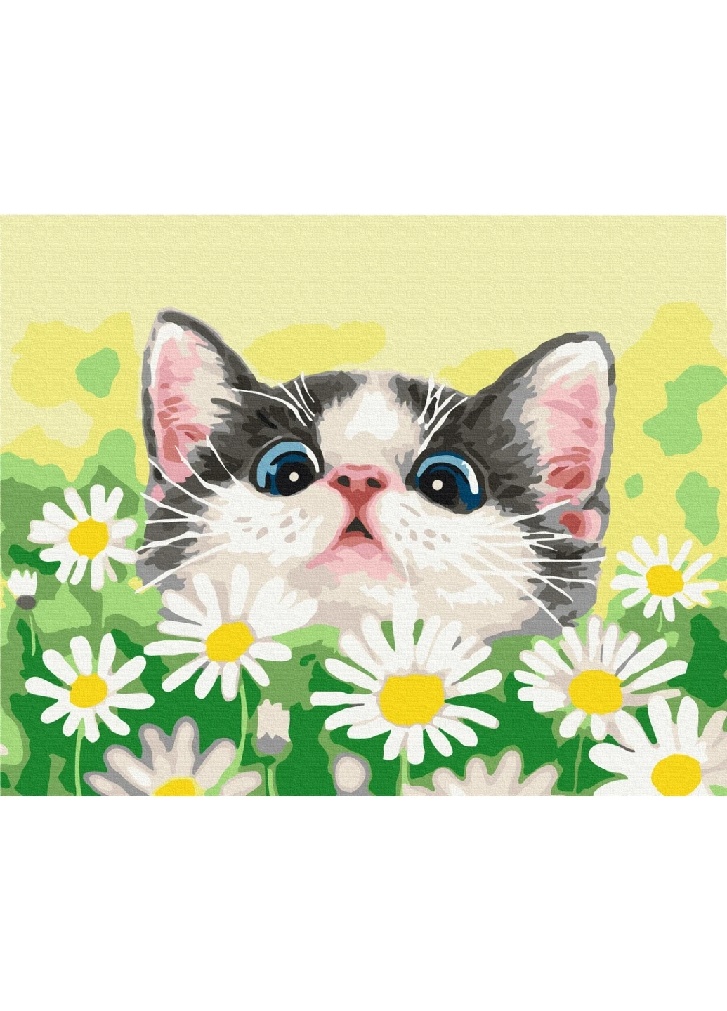 Картина по номерам Кот в ромашках 40x50 см Brushme (277154925)