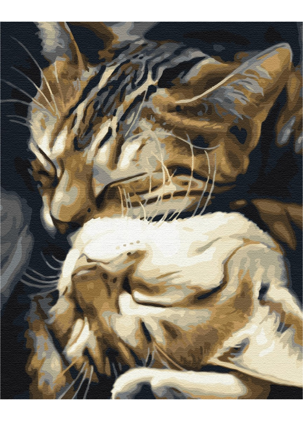 Картина по номерам Спящие котики 40x50 см Brushme (277155457)