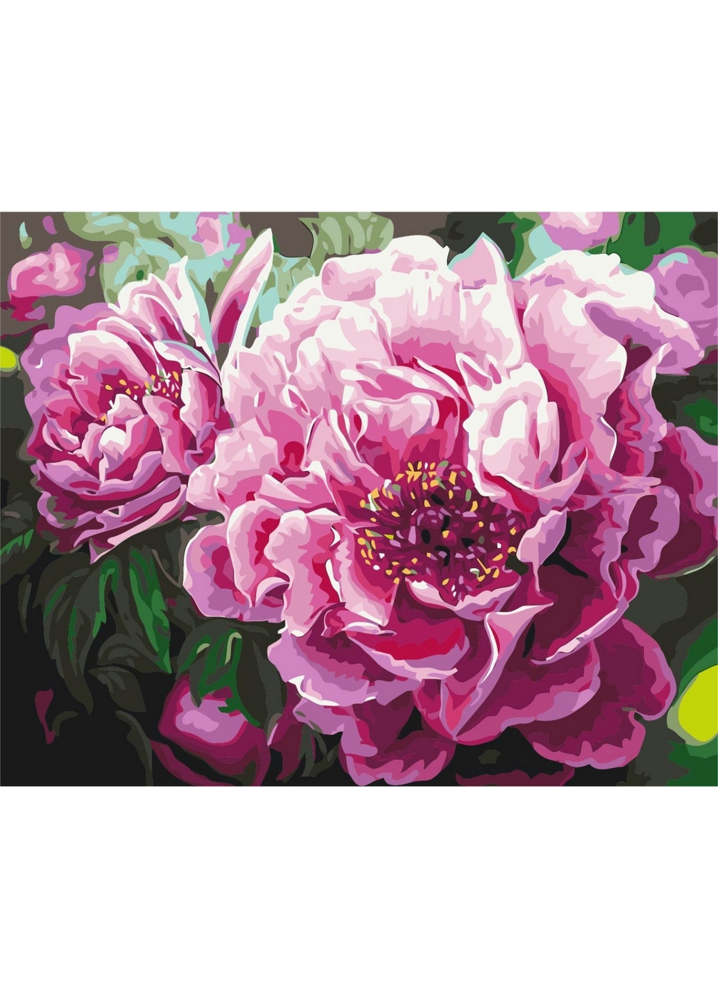 Картина по номерам Роскошные пионы 40x50 см Brushme (277155486)