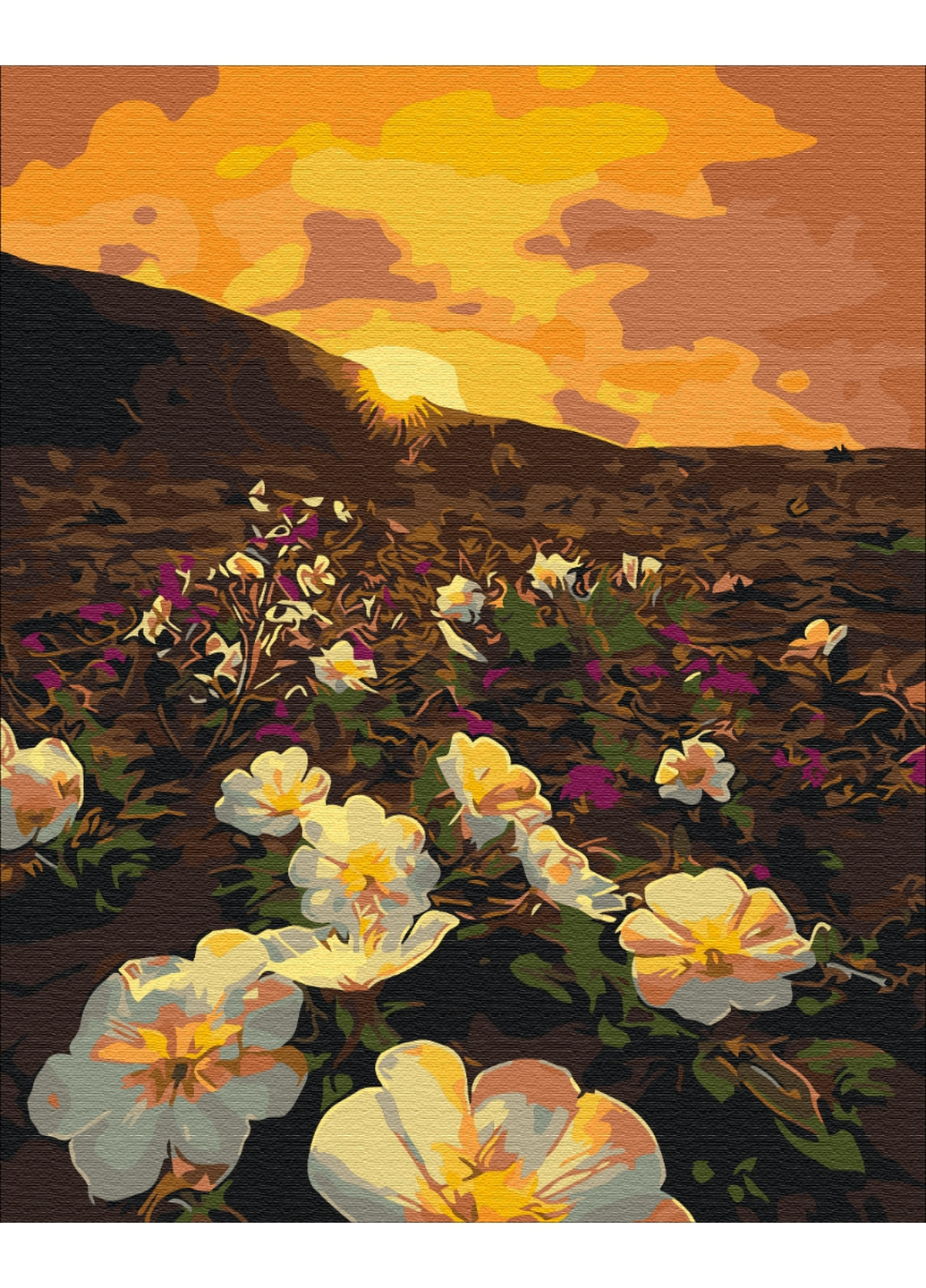 Картина по номерам Цветы солнца 40x50 см Brushme (277155837)