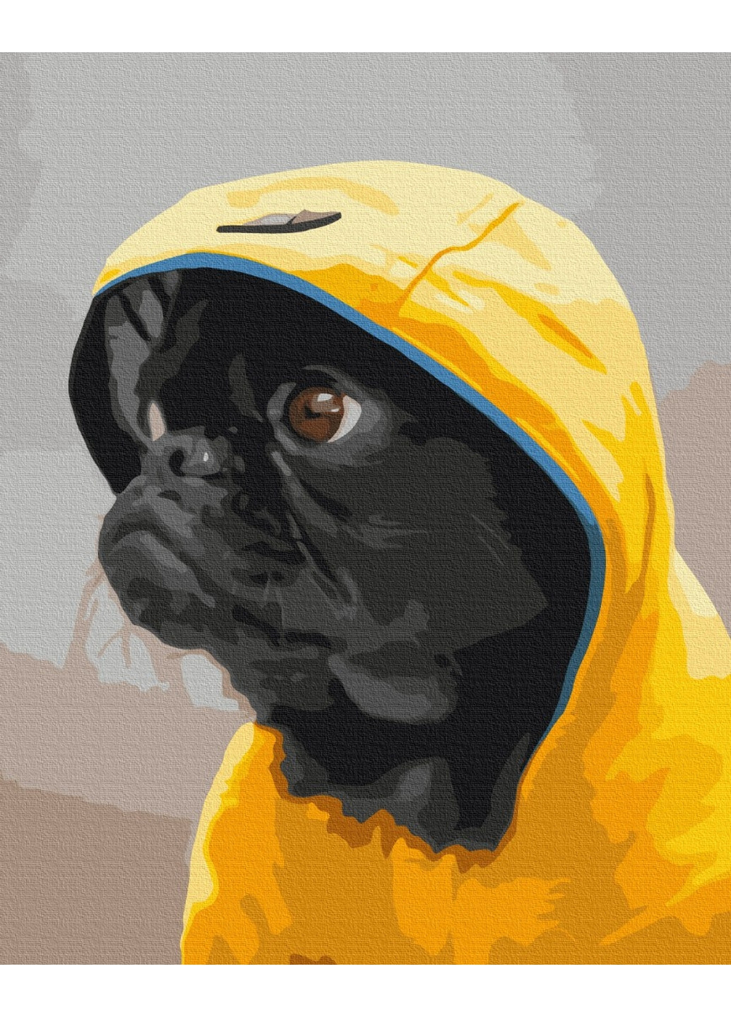 Картина по номерам Мопс в худи 40x50 см Brushme (277155884)