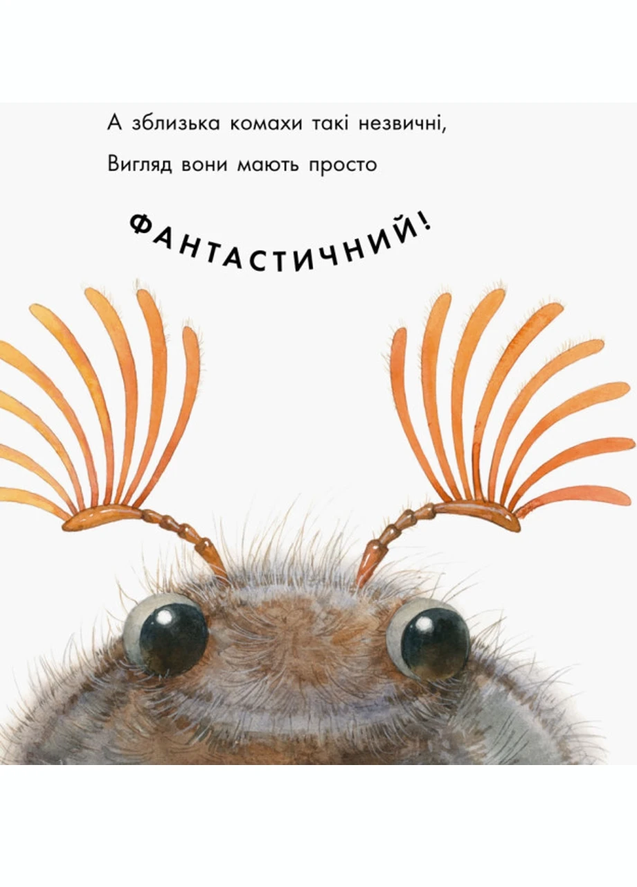 В гостях у природы: Знакомые насекомые S934002У 9786170940803 РАНОК (277159267)