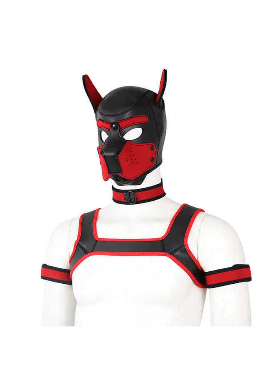 Комплект для игры в раба Dog Bondage Gear Kit Red Bdsm4u (277229394)