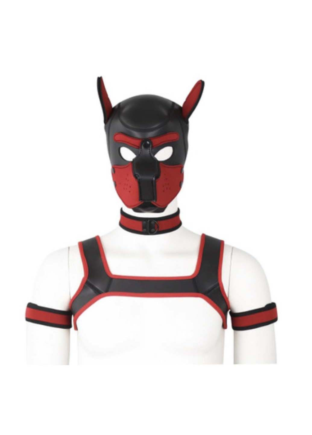 Комплект для игры в раба Dog Bondage Gear Kit Red Bdsm4u (277229394)