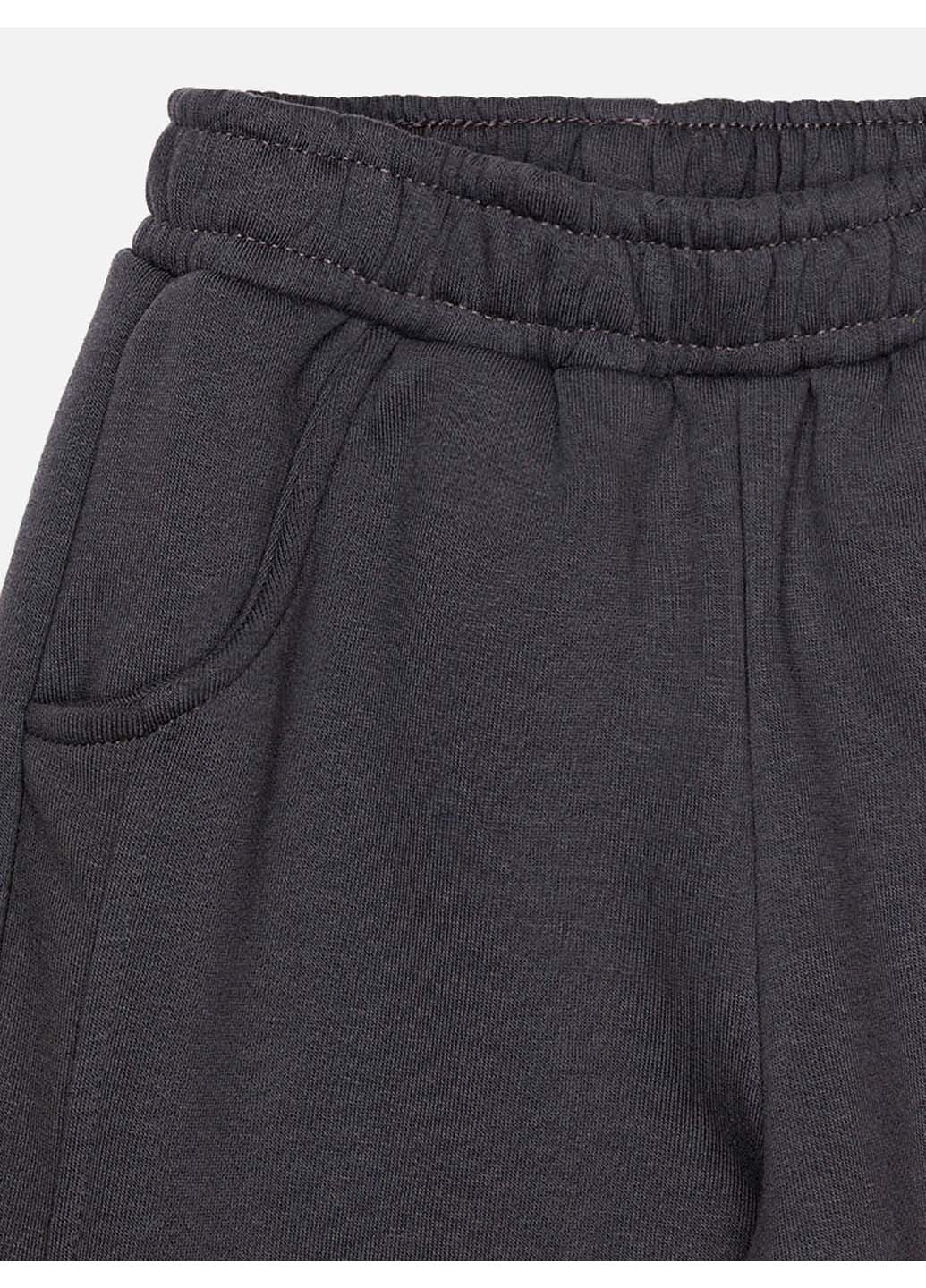 Темно-серые зимние брюки Tuffy