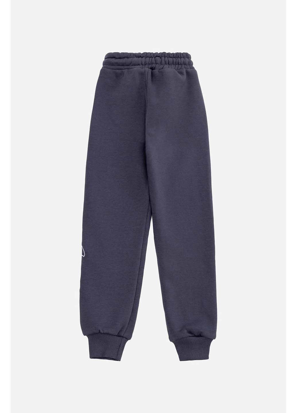 Темно-серые зимние брюки Joi Kids