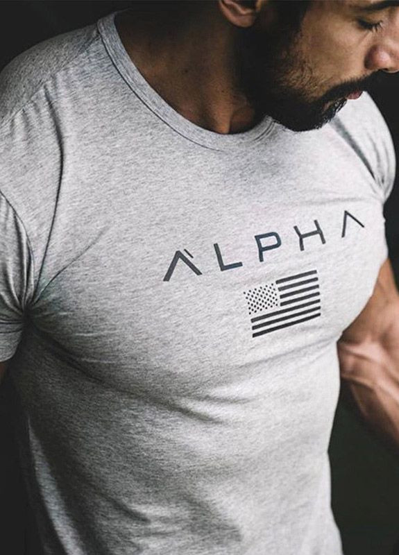 Сіра чоловіча футболка Alpha
