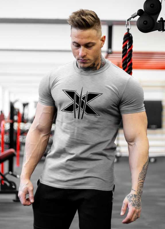 Сіра чоловіча футболка Alpha