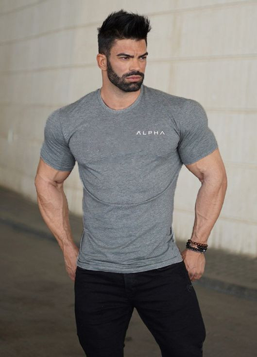 Сіра чоловіча футболка Alpha