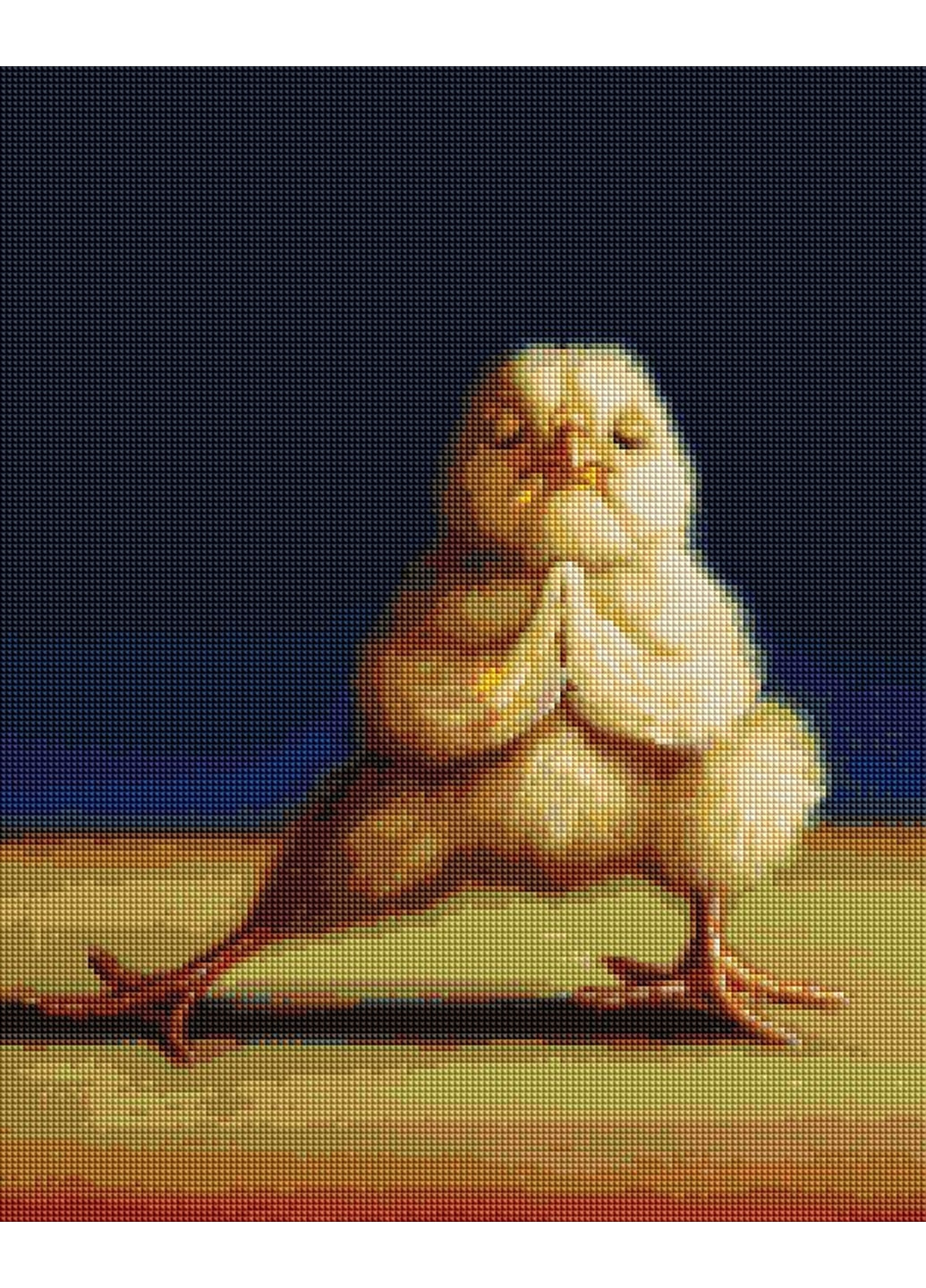 Алмазна мозаїка "Йога ципи ©Lucia Heffernan" Brushme (277690723)