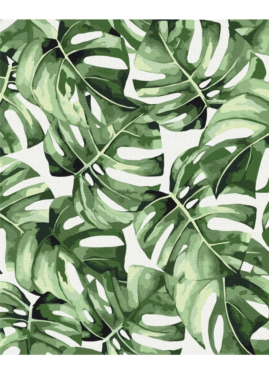 Картина за номерами "Екзотична монстера" Brushme (277692695)