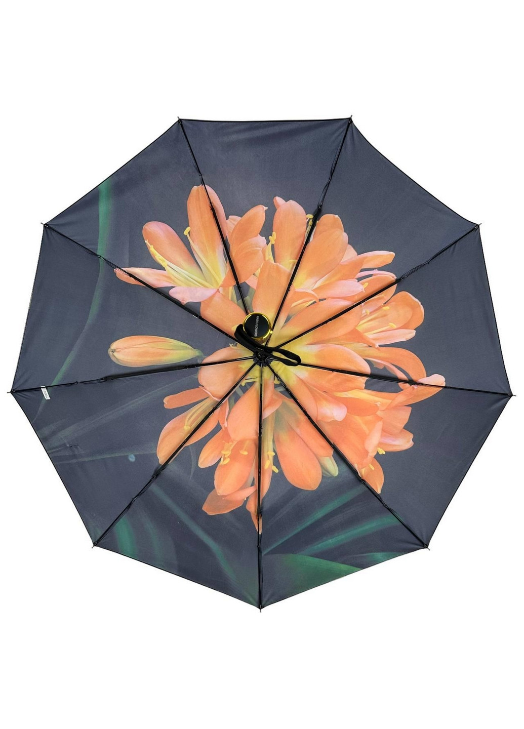 Зонт автомат женский Rain (277692533)