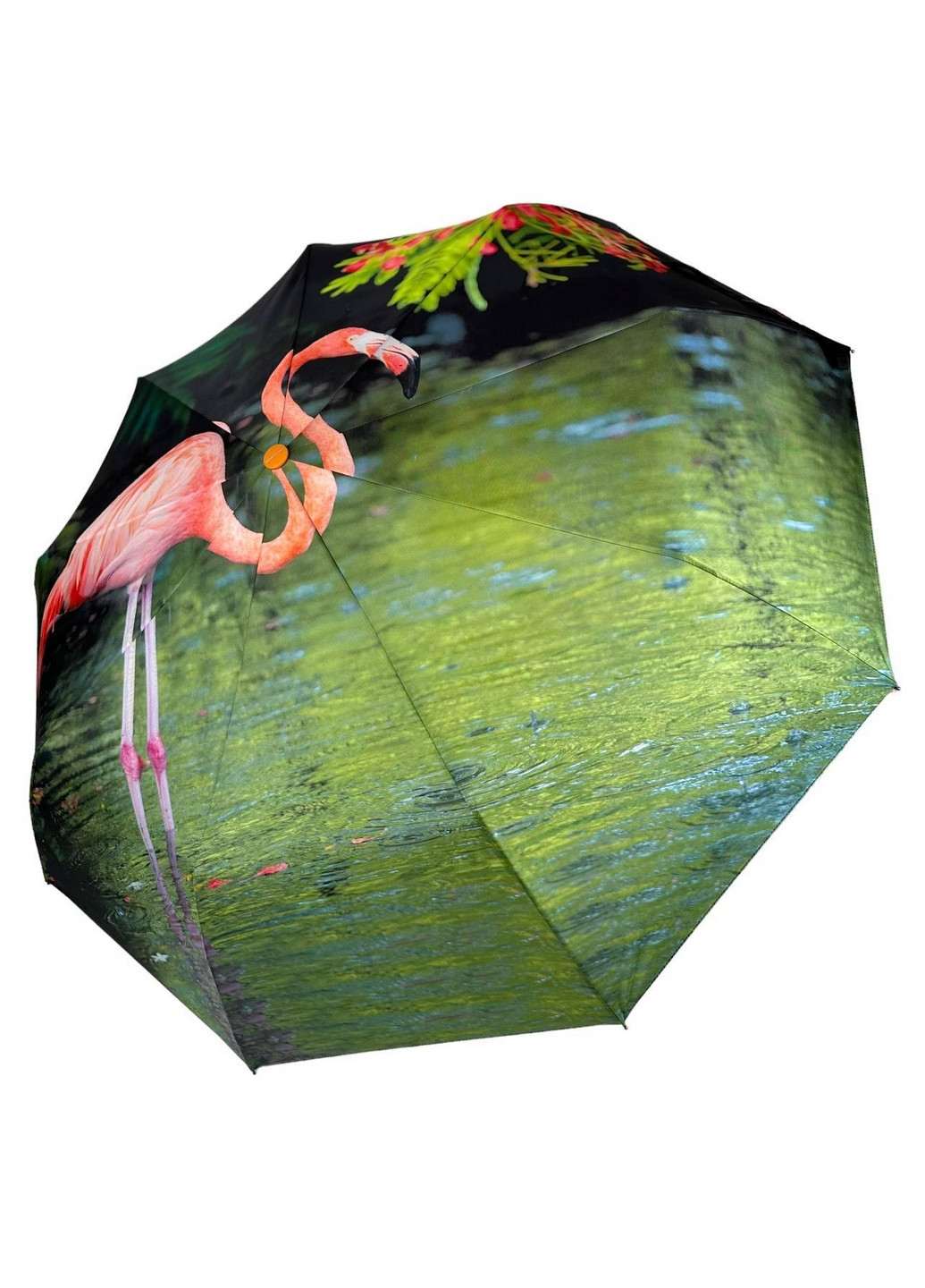 Зонт автомат женский Rain (277689312)