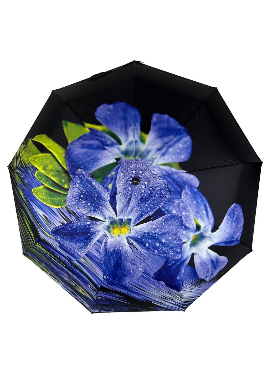 Комбинированный зонт автомат женский Rain (277690331)