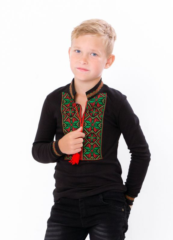 Вышиванка для мальчика с длинным рукавом Носи своє (262006543)
