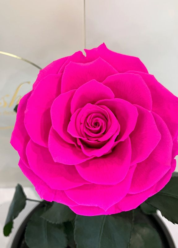 Ярко-розовая Фуксия роза в колбе - Lux 33 см на белой подставке LEROSH (278020015)