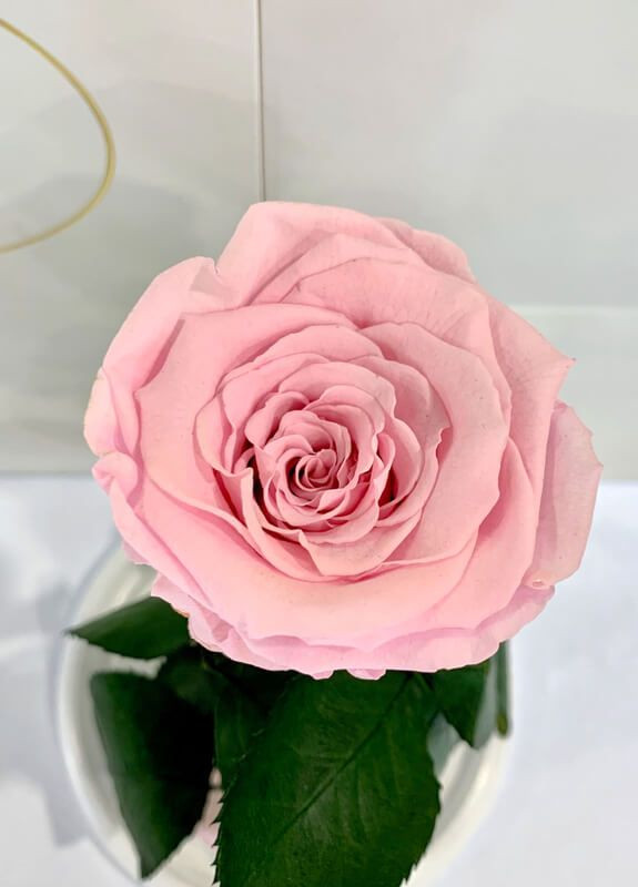 Рожева троянда в колбі - Classic 27 см LEROSH (278019955)