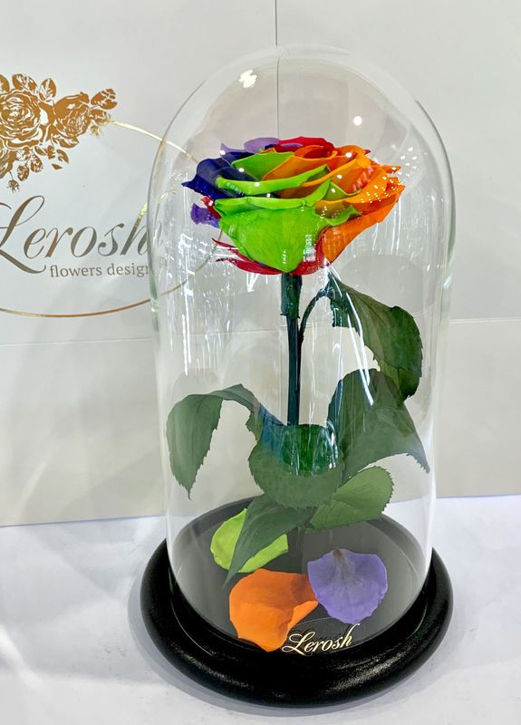 Яскрава Різнокольорова троянда в колбі - Premium 27 см LEROSH (278019969)