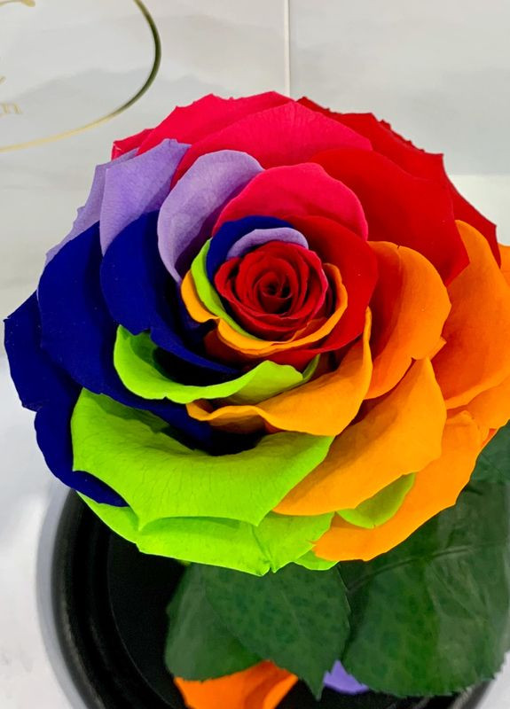 Яскрава Різнокольорова троянда в колбі - Premium 27 см LEROSH (278019969)