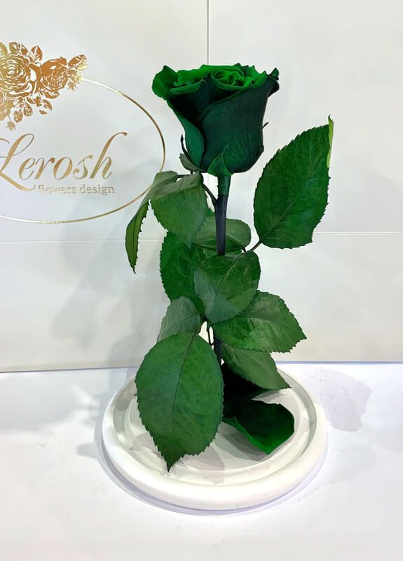 Зеленая роза в колбе - Classic 27 см LEROSH (278020001)