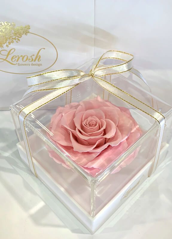 Розовый стабилизированный бутон розы в подарочной коробке - Premium LEROSH (278020057)