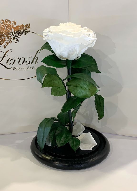 Біла троянда в колбі - Premium 27 см LEROSH (278020028)