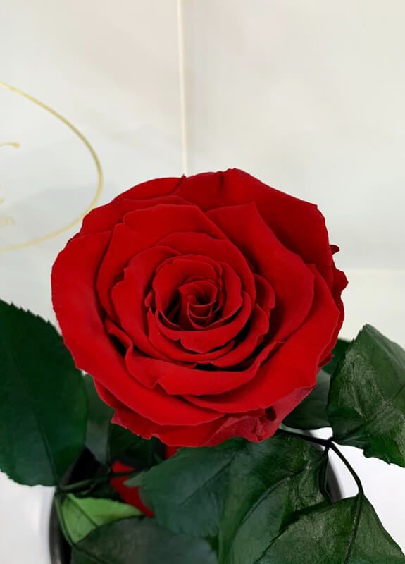 Роза в колбе с подсветкой - Classic 27 см LEROSH (278020012)