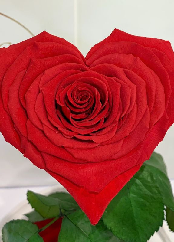 Червона троянда в колбі Серце - Lux 33 см на білій підставці LEROSH (278020037)