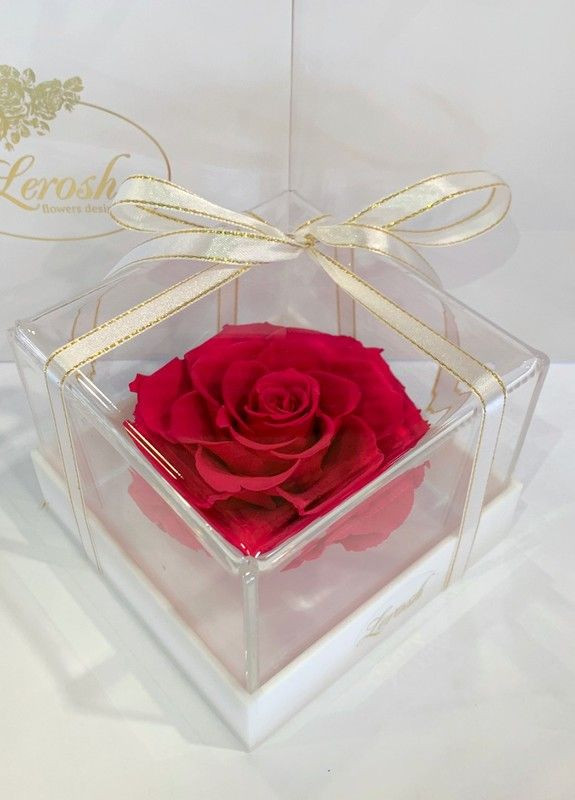 Малиновый стабилизированный бутон розы в подарочной коробке - Premium LEROSH (278020021)