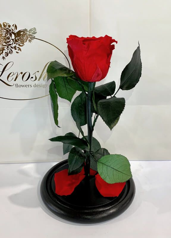 Червона троянда в колбі - Classic 27 см LEROSH (278020000)