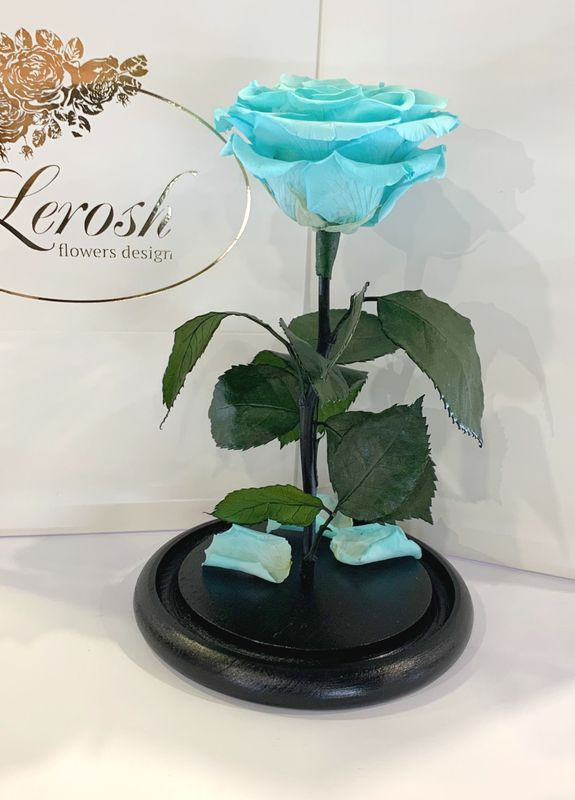 Бирюзовая роза в колбе - Premium 27 см LEROSH (278020014)