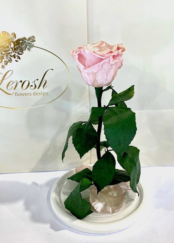 Рожева Перлова троянда в колбі - Classic 27 см LEROSH (278019968)