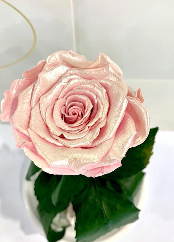 Рожева Перлова троянда в колбі - Classic 27 см LEROSH (278019968)