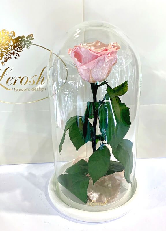 Рожева Перлова троянда в колбі - Classic 27 см LEROSH (278019968)
