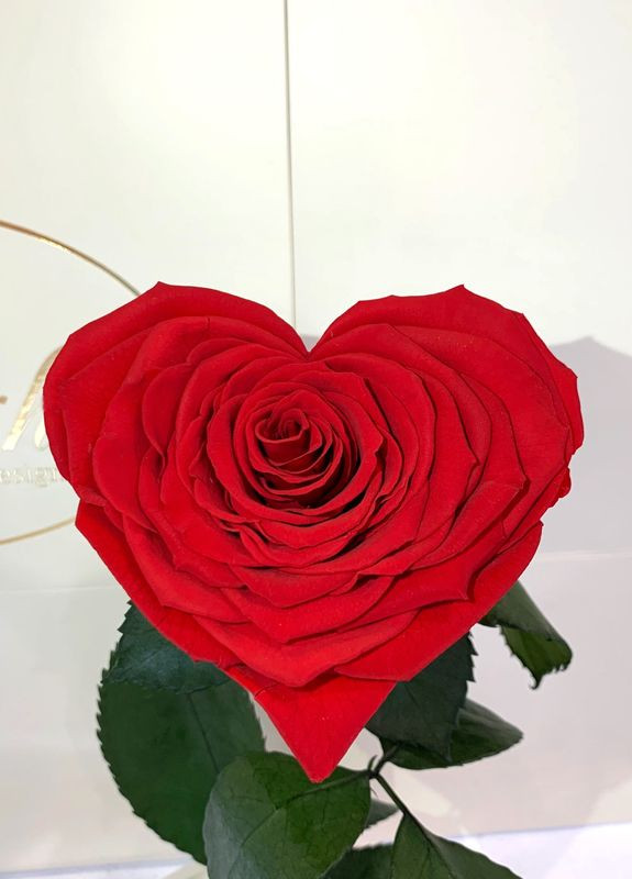 Червона троянда в колбі Серце - Premium 27 см LEROSH (278020070)