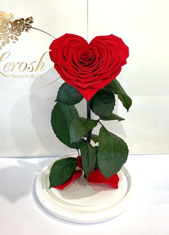 Красная роза в колбе Сердце - Premium 27 см на белой подставке LEROSH (278020022)
