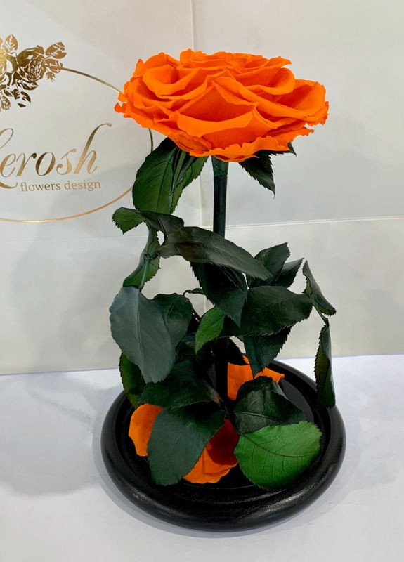 Помаранчева троянда в колбі - Premium 27 см LEROSH (278019952)
