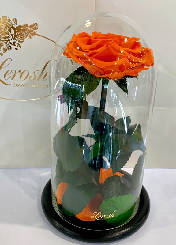 Помаранчева троянда в колбі - Premium 27 см LEROSH (278019952)