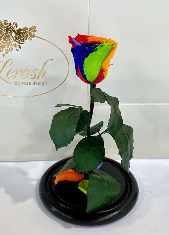 Яркая Радужная роза в колбе - Classic 27 см LEROSH (278019988)