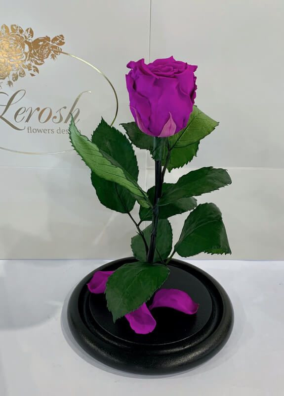 Фиолетовая роза в колбе - Classic 27 см LEROSH (278020013)