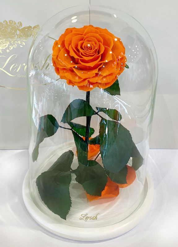 Помаранчева троянда в колбі - Lux 33 см LEROSH (278019956)
