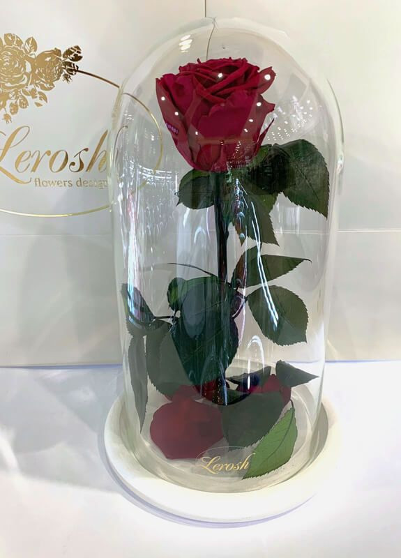 Бордовая роза в колбе - Classic 27 см LEROSH (278020040)