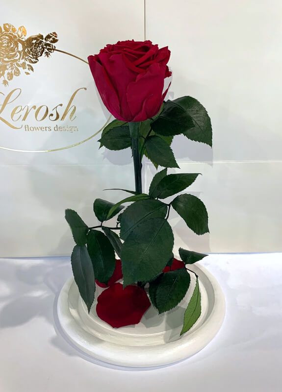 Бордовая роза в колбе - Classic 27 см LEROSH (278020040)