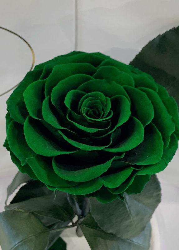 Зеленая роза в колбе - Premium 27 см LEROSH (278020069)
